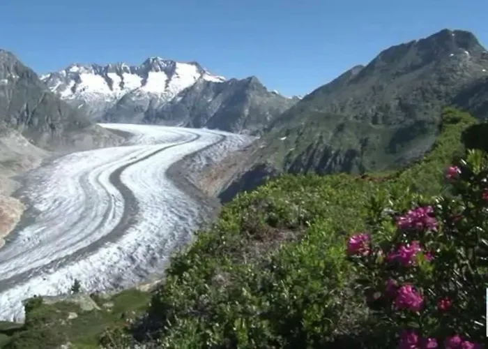 Perle Des Alpes, Bettmeralp, Switzerland * Bettmeralp